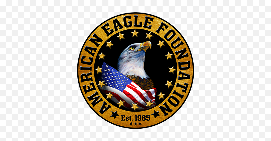 American Eagle Foundation Logo - American Eagle Foundation Eagle Png,American Eagle Png