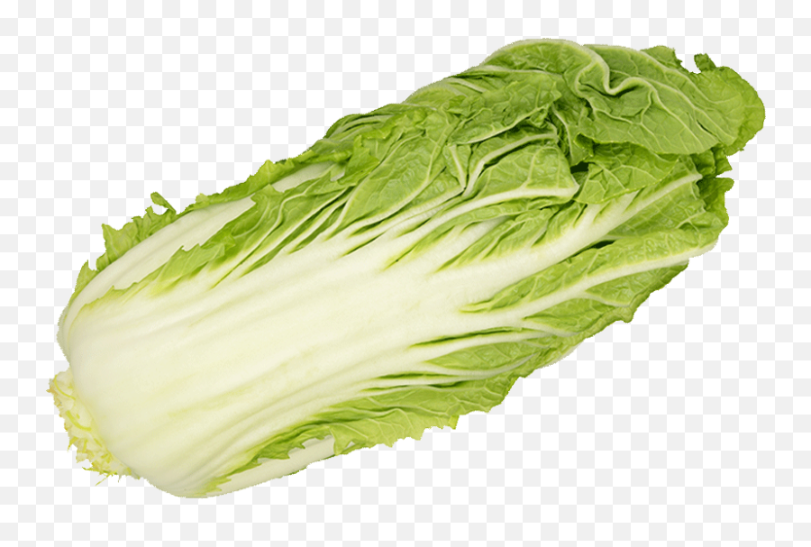 Download Romaine Lettuce Png Image With - Superfood,Romaine Lettuce Png