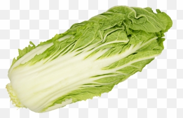 Download Romaine Lettuce Png Image With - Superfood,Romaine Lettuce Png