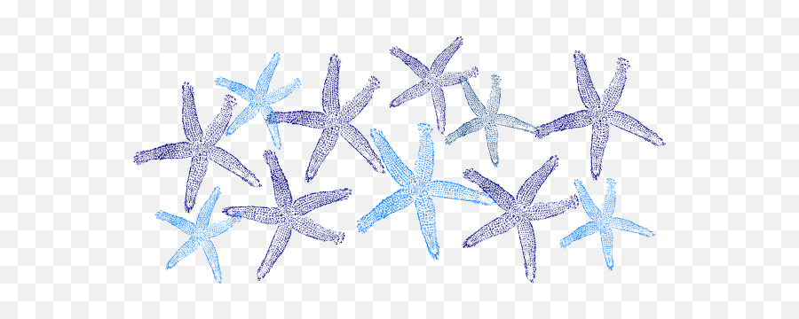 Blue Starfish Clip Art - Transparent Transparent Background Starfish Clipart Png,Starfish Transparent Background