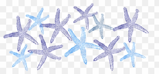Blue Starfish Clip Art - Transparent Transparent Background Starfish Clipart Png,Starfish Transparent Background