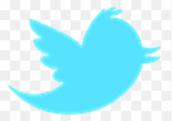 New - Hot Pink Twitter Logo Transparent png