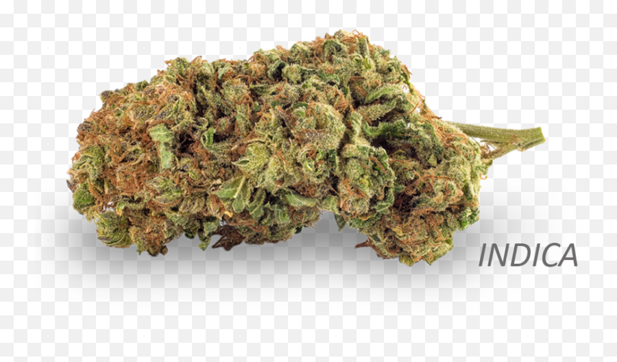 Weed Bud Png - The Wills Has Been A Favorite For Many In The Solid,Weed Nugget Png