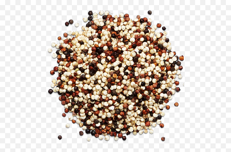 Ancient Grains - Bead Png,Grains Png