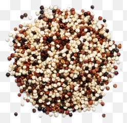 Ancient Grains - Bead Png,Grains Png