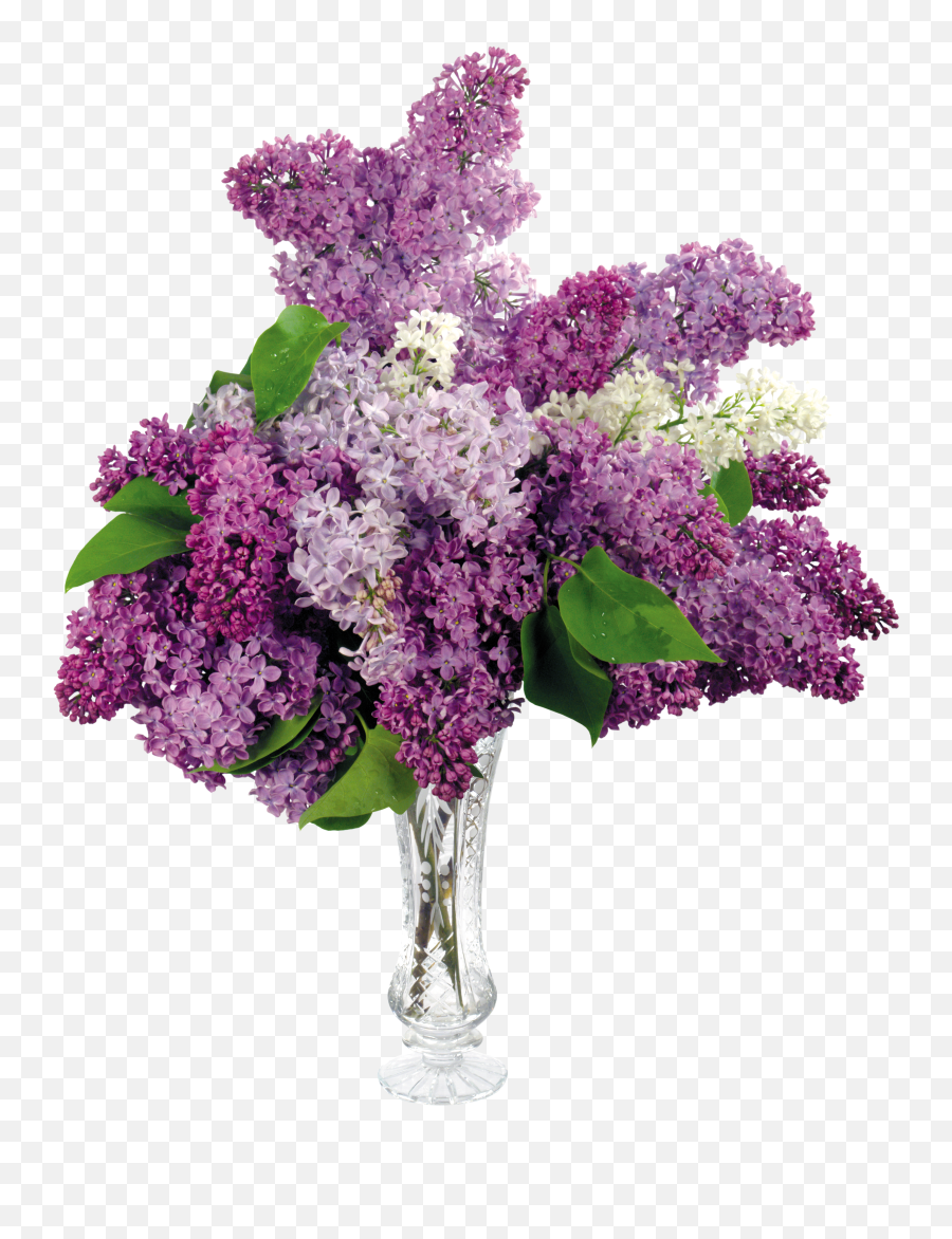 Vase With Lilacs In Png Format Transparent Background - Png,Crystal Transparent Background