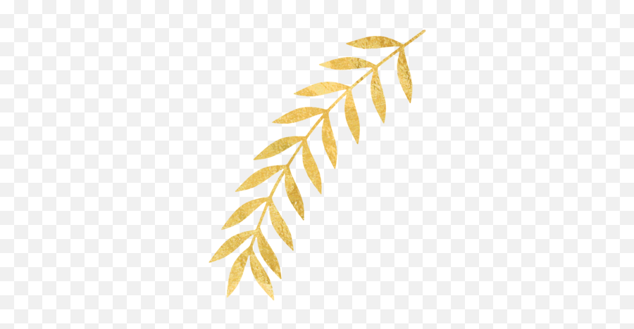 Download Gold Leaves Png Image With - Twig,Gold Leaves Png