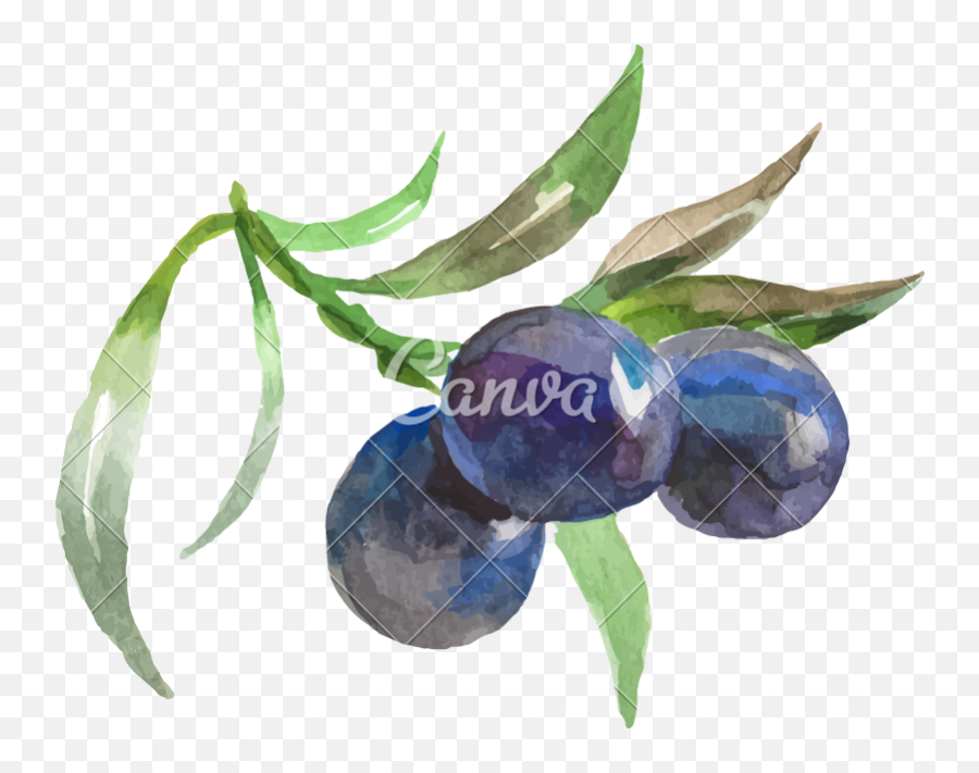Watercolor Painting Of Grapes Vector Icon Illustration - Fresh Png,Grapes Icon