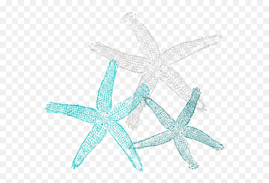Starfish - Transparent Transparent Background Starfish Clipart Png,Starfish Transparent