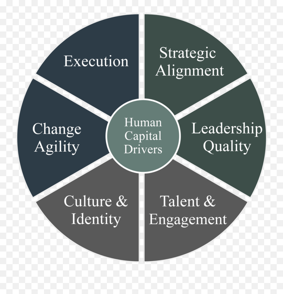 Human Capital Index Fmg Leading - Human Capital Png,Human Capital Icon