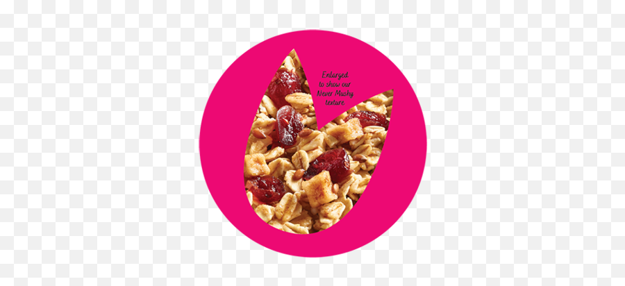 Organic Apple Cranberry U2013 Umpqua Oats - Superfood Png,Oatmeal Icon