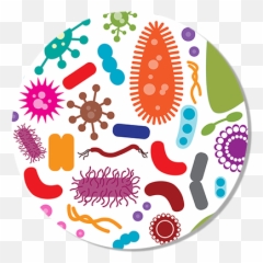 2017 Pipette By Numbers - Microbiota World Biotech Tour Microbiota Png,Pipette Png