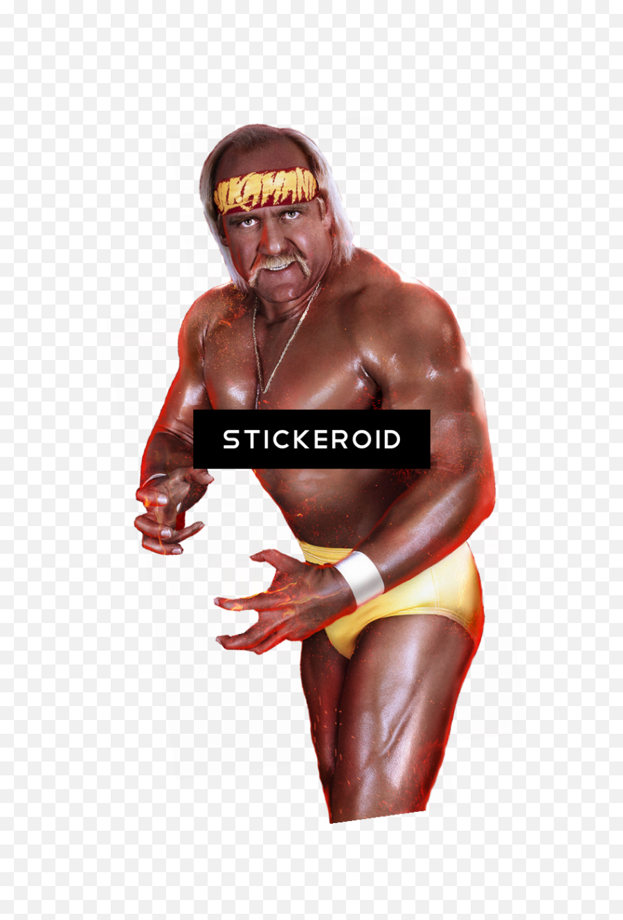 Download Hulk Hogan Wwe - Wrestler Full Size Png Image Hulk Hogan 3d Model,Wrestler Png