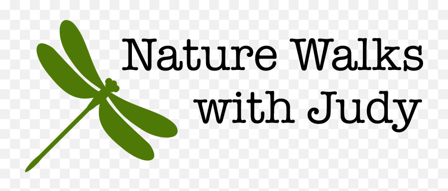 Home - Nature Walks With Judy Png,Nature Walk Icon