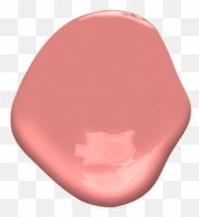 Pink Flamingo Csp - 1175 Benjamin Moore Solid Png,Pink Flamingo Icon