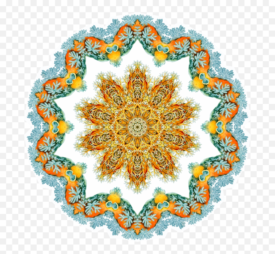 Paisley Transparent Png Image - Ernst Haeckel,Paisley Png