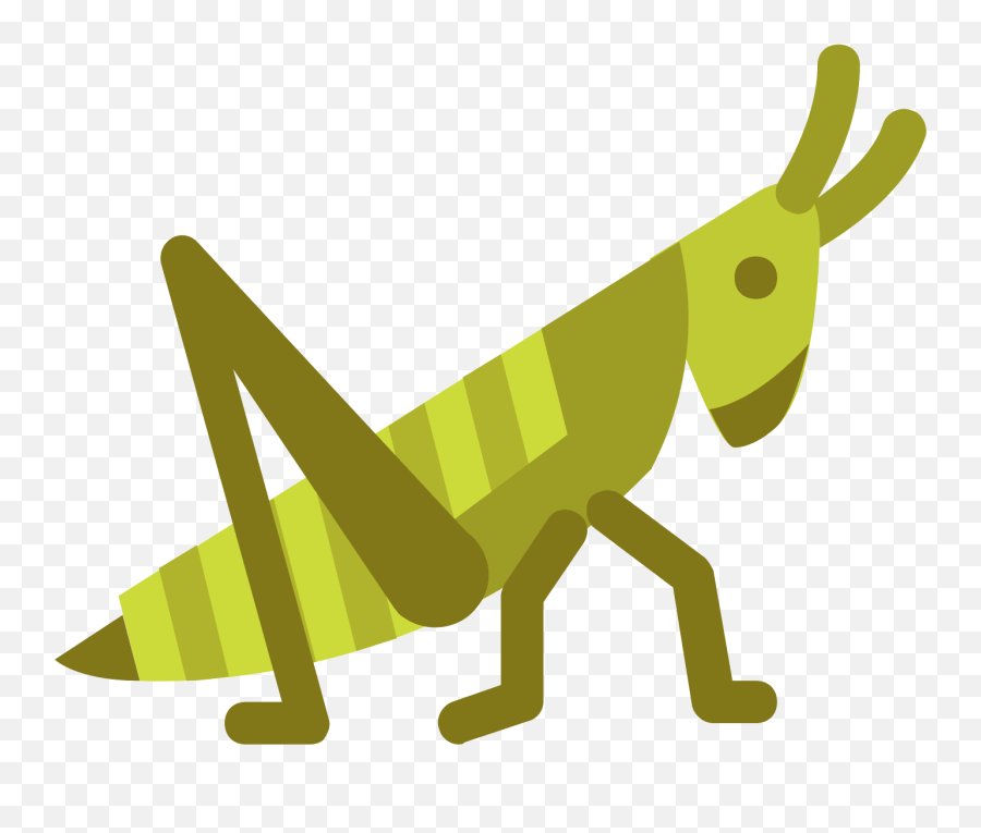 Download Grasshopper Clipart Pencil - Grasshopper Logo Png,Grasshopper Png