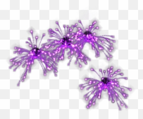 Fireworks Png Photo - Transparent Background Gif Animation Fireworks Gif, Png  Download - 840x817 PNG 