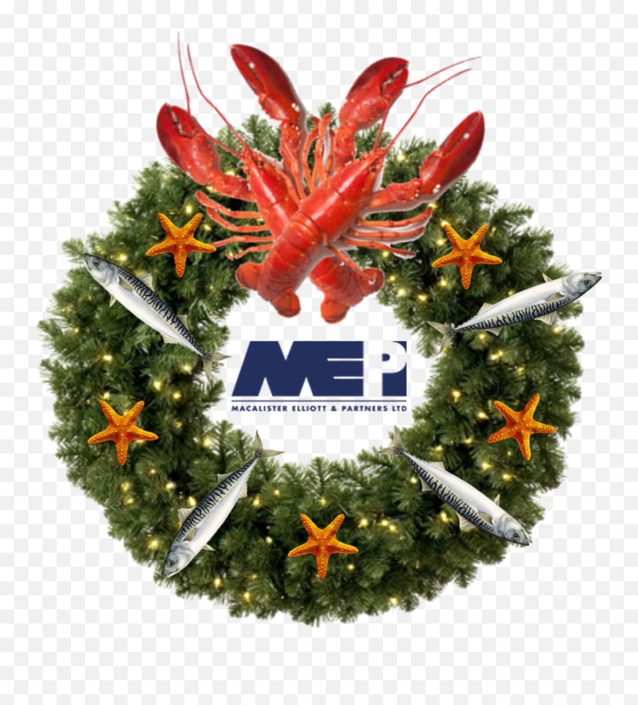 Macalister Elliott - Christmas Wreath No Background Png,Christmas Logo Png