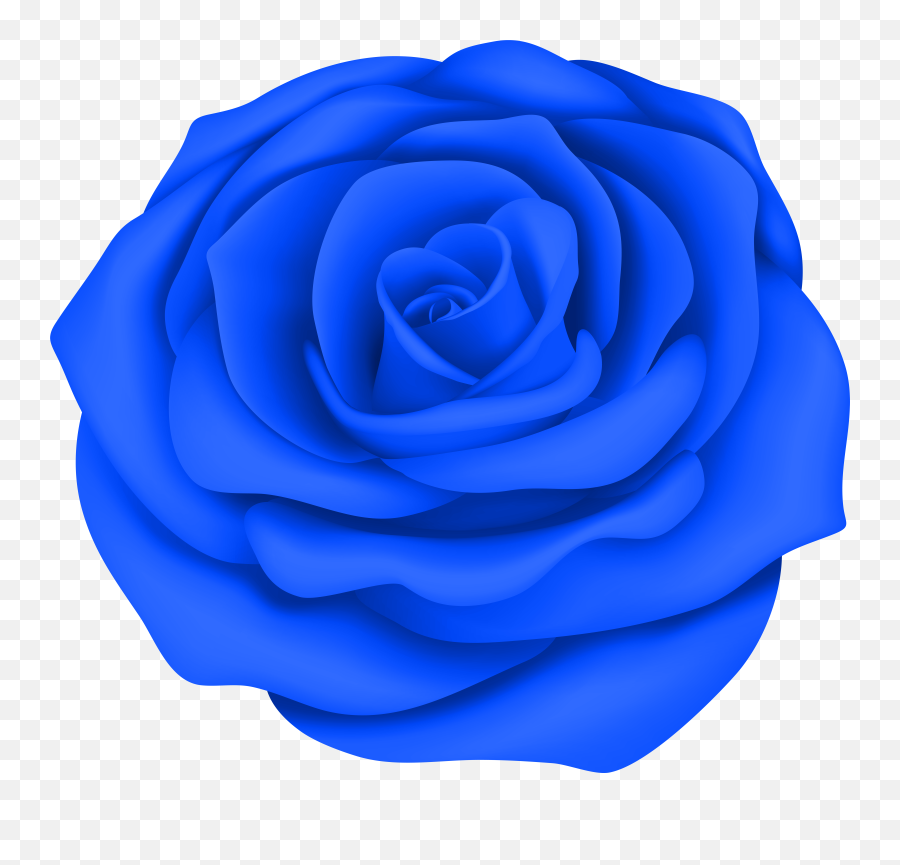 Download Blue Rose Png Image With