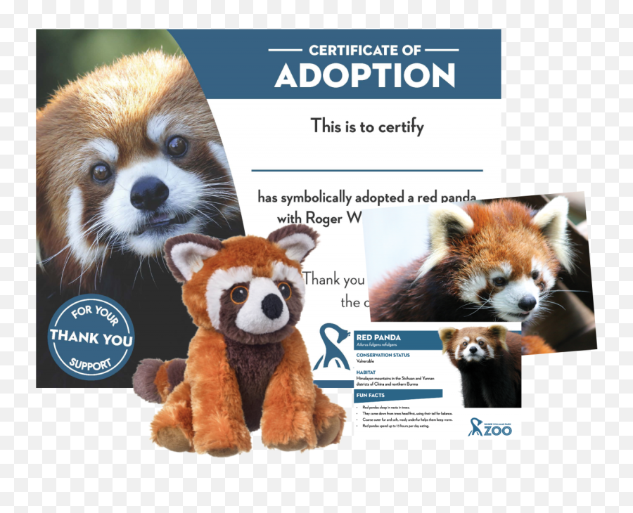 Adopt A Red Panda Roger Williams Park Zoo - Red Panda Plush Roger Williams Zoo Png,Red Panda Transparent