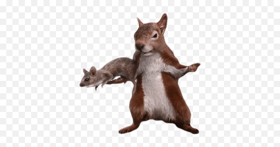 Ratatata Bang Gif - Ratatata Bangbang Fingergun Discover U0026 Share Gifs Eurasian Red Squirrel Png,Squirrel Transparent