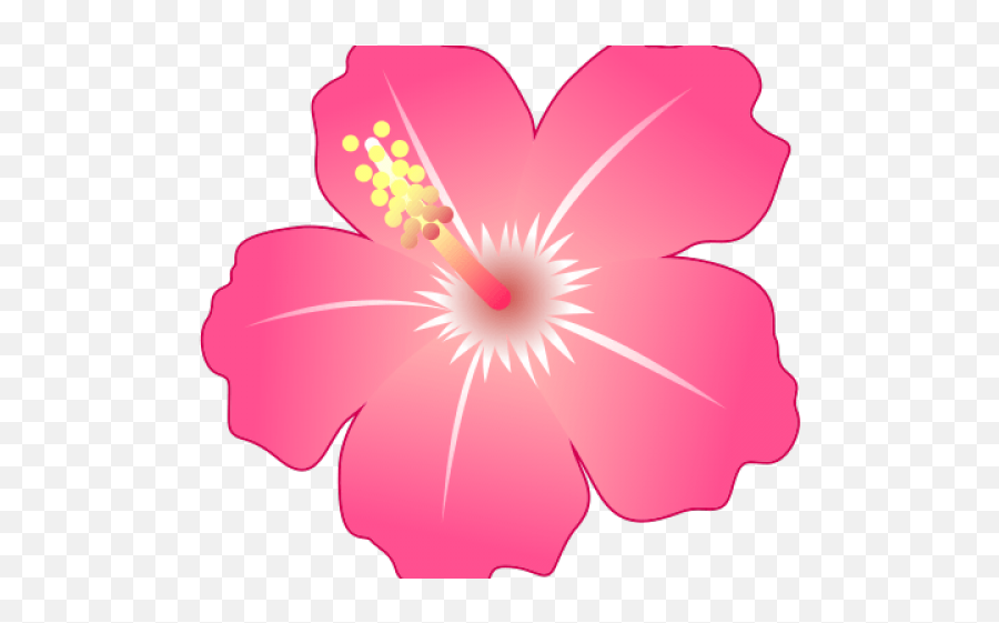 Hibiscus Clipart Emoji - Png Download Full Size Clipart Hibiscus Emoji Svg,Flower Emoji Png