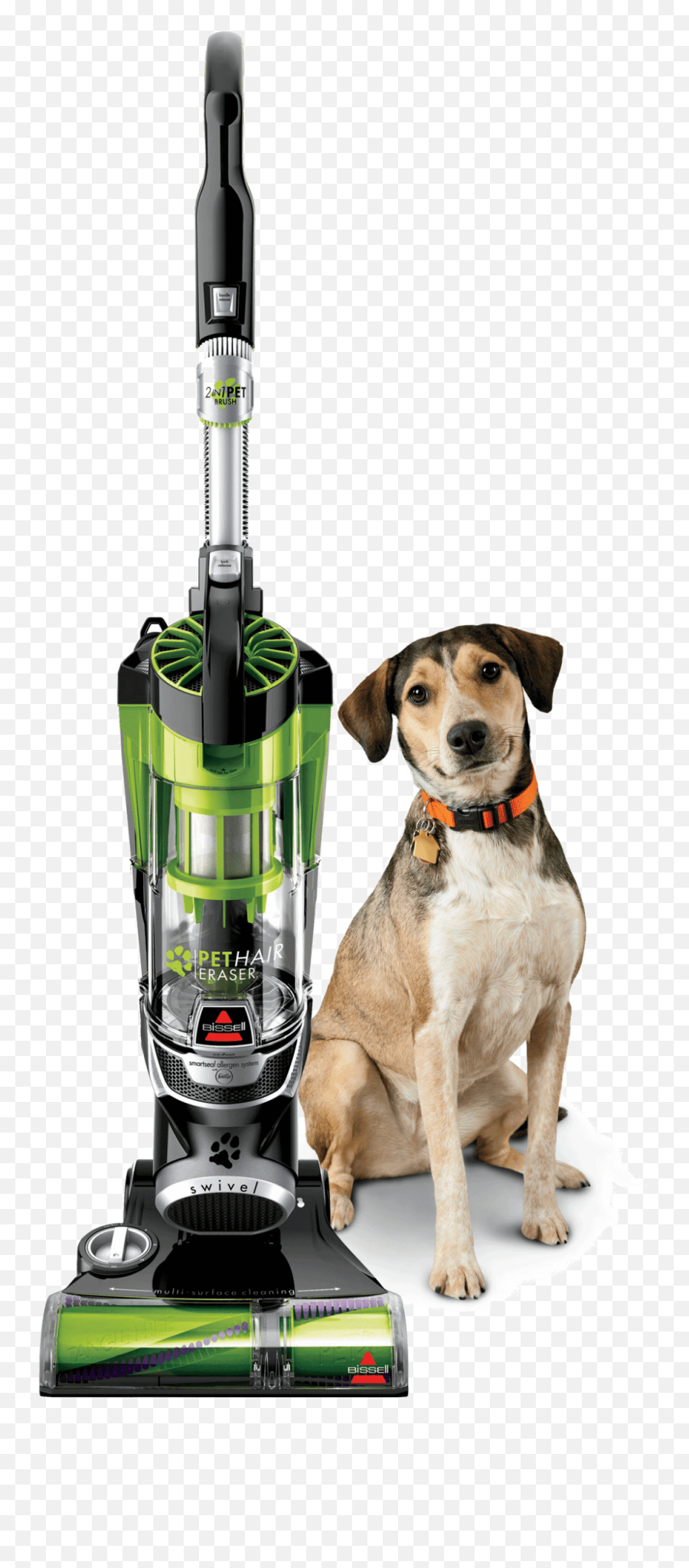 Dog Hair Filter Goldenacresdogscom - Bissell Pet Hair Eraser Upright Vacuum Png,Snapchat Dog Filter Png