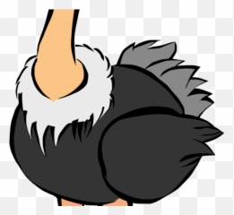 Ostrich Clipart Realistic - Ostrich Clipart Png Download Ostrich Clipart Png,Ostrich Png