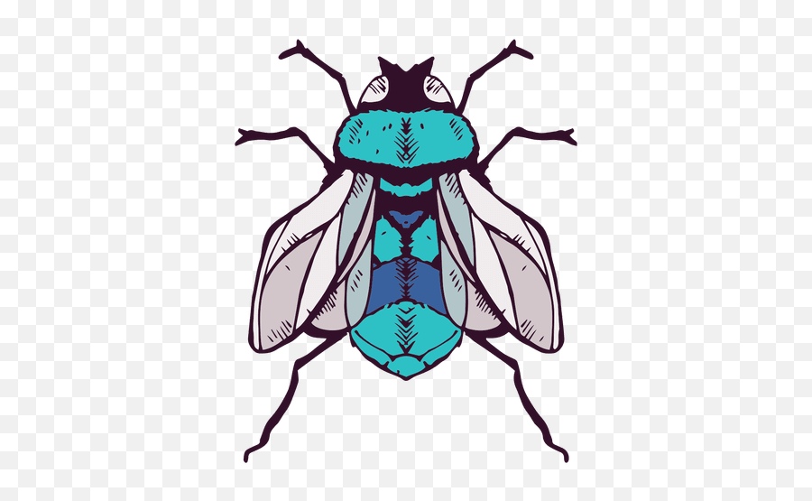 Fly Clip Art - Ilustracion Png Download 512512 Free Fly Illustration Png,Fly Clipart Png