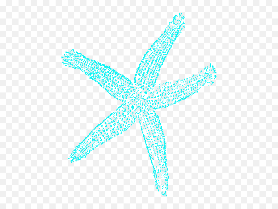 Starfish - Fish Clip Art Png,Starfish Transparent Background