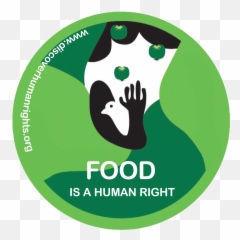 Whatsapp Icon Transparent Png - Food Is A Human Right 2 Has The To Education