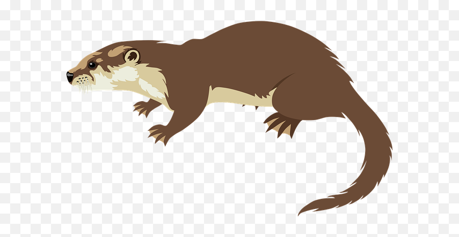 Otter Animal Wildlife - Free Vector Graphic On Pixabay Otter Cartoon Png,Otter Png