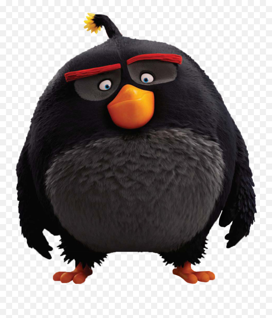Angry Birds Movie Characters Png