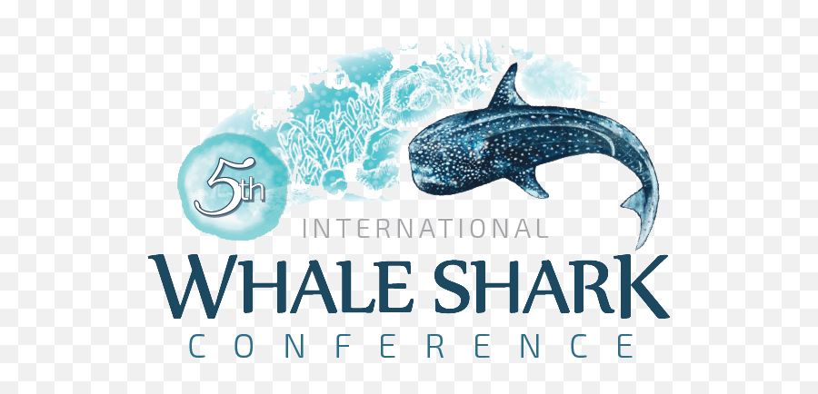 5th International Whale Shark Conference - International Whale Shark Conference Png,Whale Shark Png