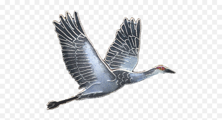 Crane Bird Png - Long,Crane Bird Png