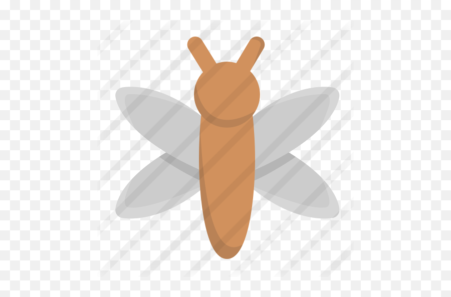 Dragonfly - Free Animals Icons Parasitism Png,Dragonfly Icon