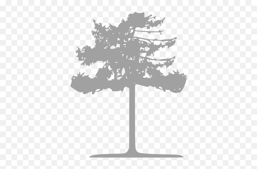 Tree 044 Icons - Silhouette Png,Tree Icon Transparent