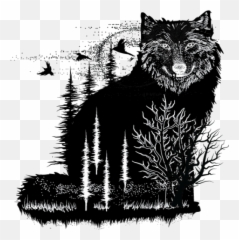 About Howling Wolves Studios Whitebridge Nsw 2290 - Sketch png