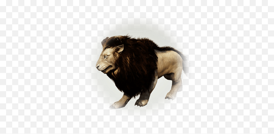 Valencian Lion Png Lions Icon