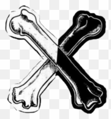 Descendants3 Carlos 305744323276211 By Descendientes123 - Logo De Carlos Descendientes png