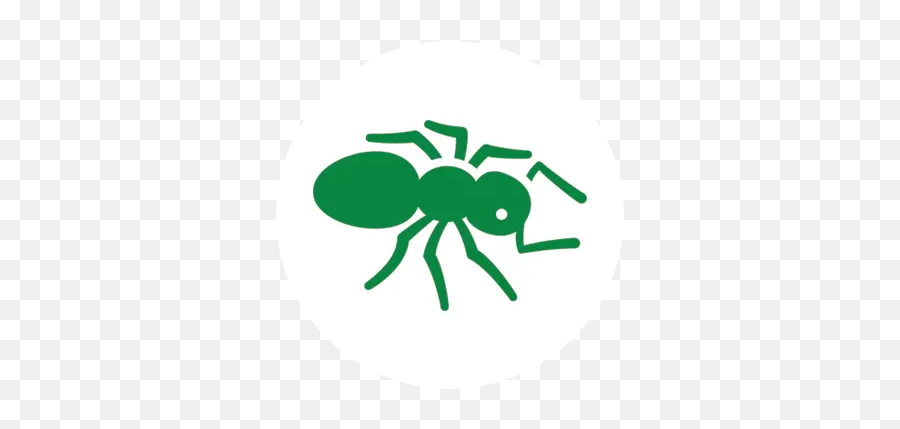 Pest Solutions Iq Control Easton Pa - Parasitism Png,Bl3 Spider Icon