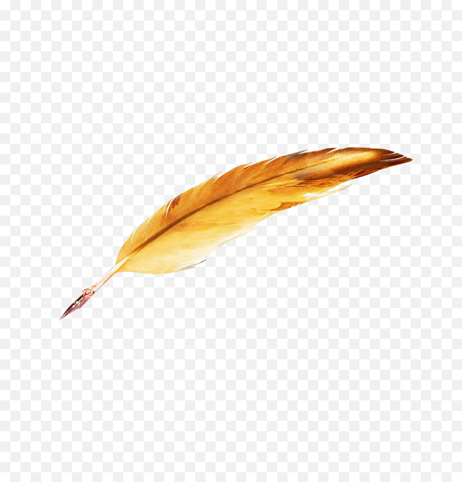 Quill Pen Png - Old Feather Pen Png,Quill Pen Png