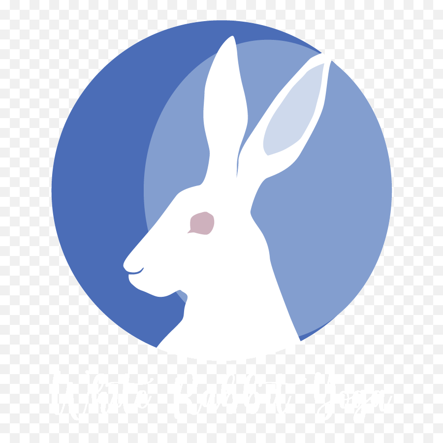 Virtual Workshop White Rabbit Yoga - Domestic Rabbit Png,Rabbit Icon