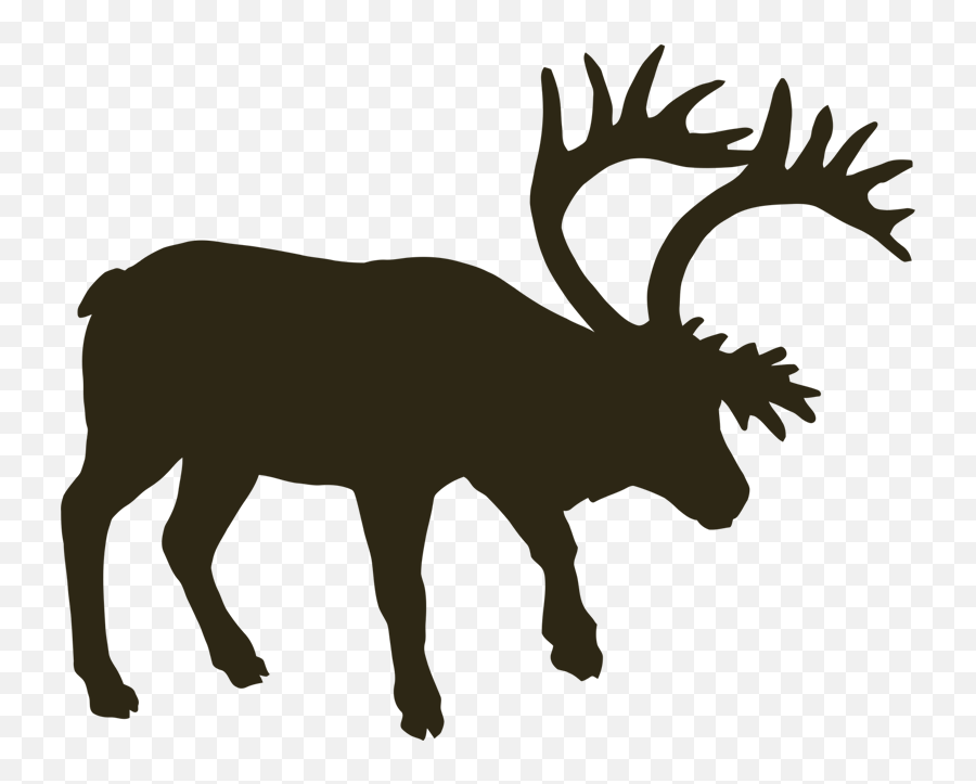 Home - North River Outfitting Animales De Caza Png,Hunting Horn Icon