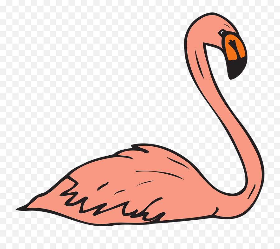 Flamingo Label Logo Logos Download - Swimming Flamingo Clipart Png,Flamingo Logo