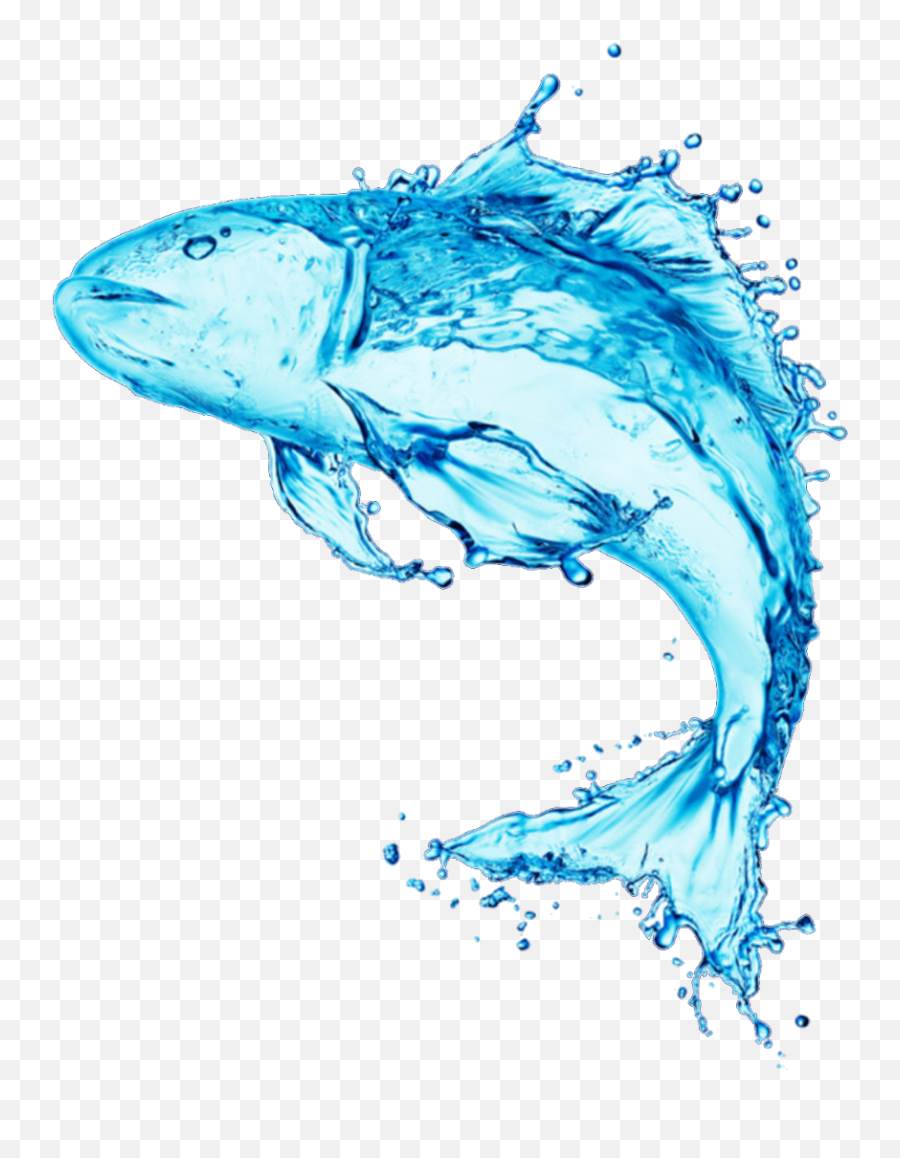 Fish Stock Photography Water Royalty - Free Water Png Fish Made Of Water,Ink In Water Png