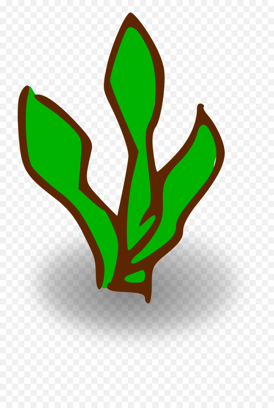 Cartoon Plant Png Picture 498365 - Kelp Clipart,Plant Cartoon Png