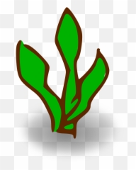 Cartoon Plant Png Picture 498365 - Kelp Clipart