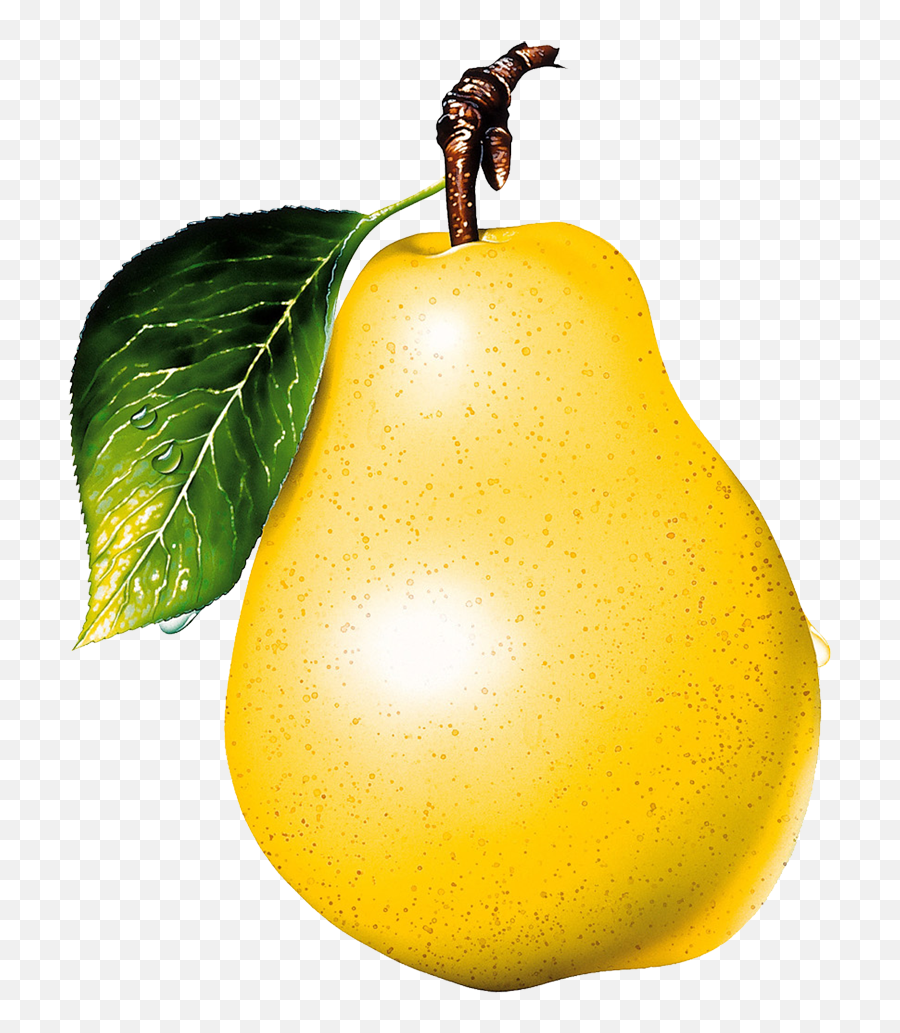 Hq Pear Png Transparent - Pear Clipart Transparent Background,Pear Png
